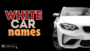 1199+ White Car Names Ideas 2025 White Car Names Ideas 2024