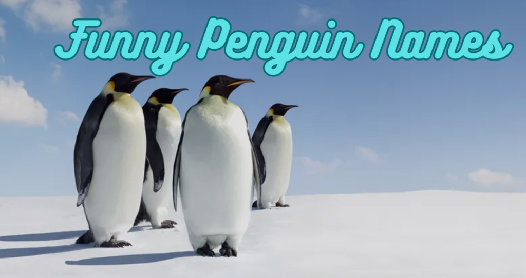 550+Funny Penguin Names [A Collection of Clever Monikers]2024