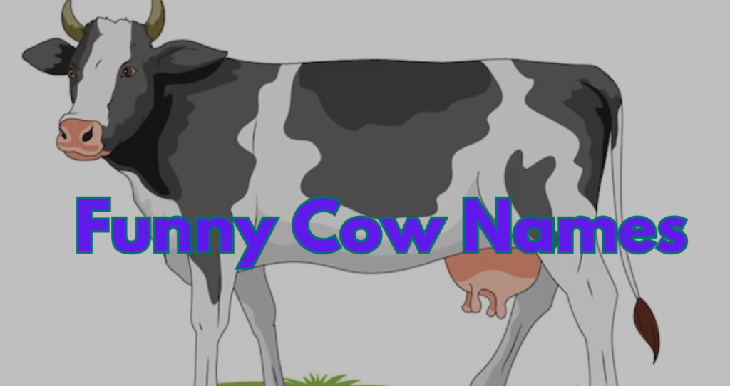 1700+ Cute and Funny Cow Names [Cow Pun Edition] 2024