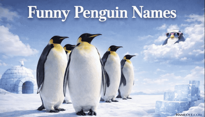 350+ Best Funny Penguin Names Explore creative Funny Penguin Names with a group of penguins in a snowy landscape, featuring an igloo and a penguin in sunglasses.